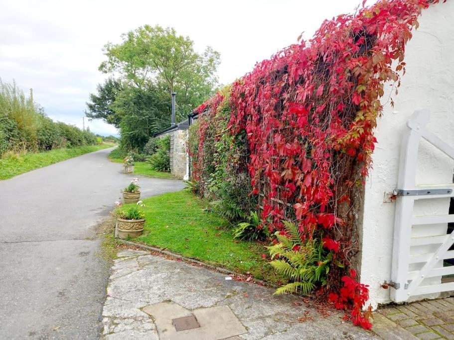 Rhos Y Bel Cottage Angelsey Llangadwaladr  Exterior photo