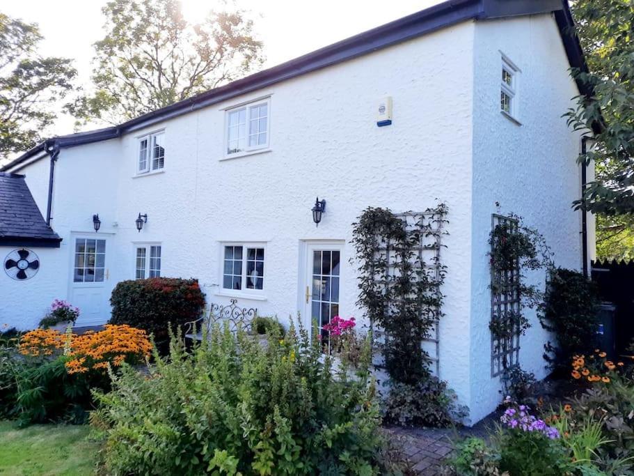 Rhos Y Bel Cottage Angelsey Llangadwaladr  Exterior photo